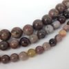 Petrified Wood Jasper (Round)
